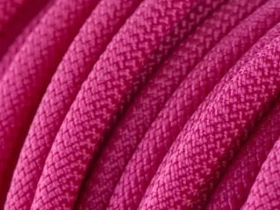 fuchsia dogleash